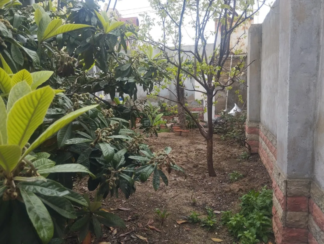 Satılır 4 otaqlı həyət evi 120 m²