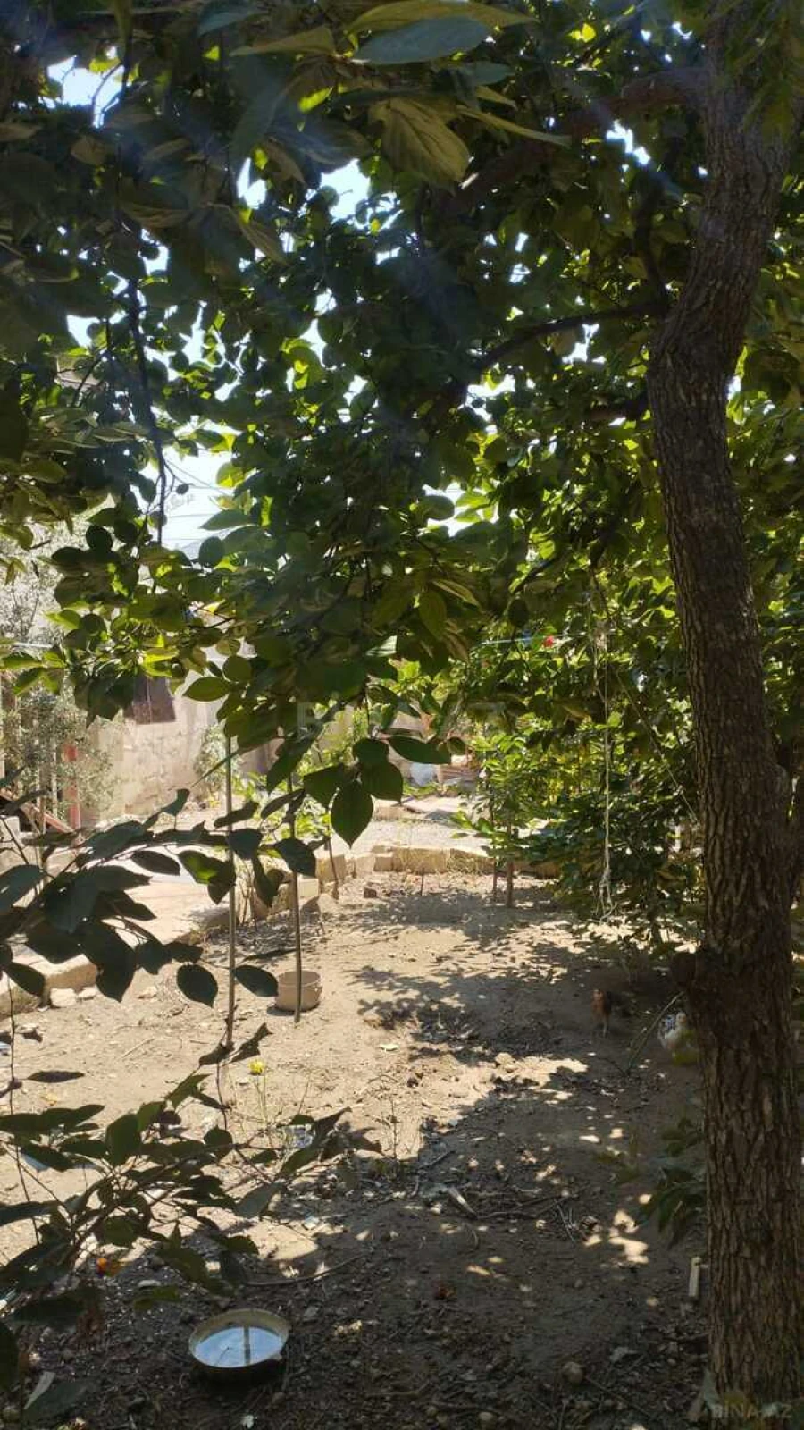 Kirayə verilir torpaq sahəsi 4 m²
