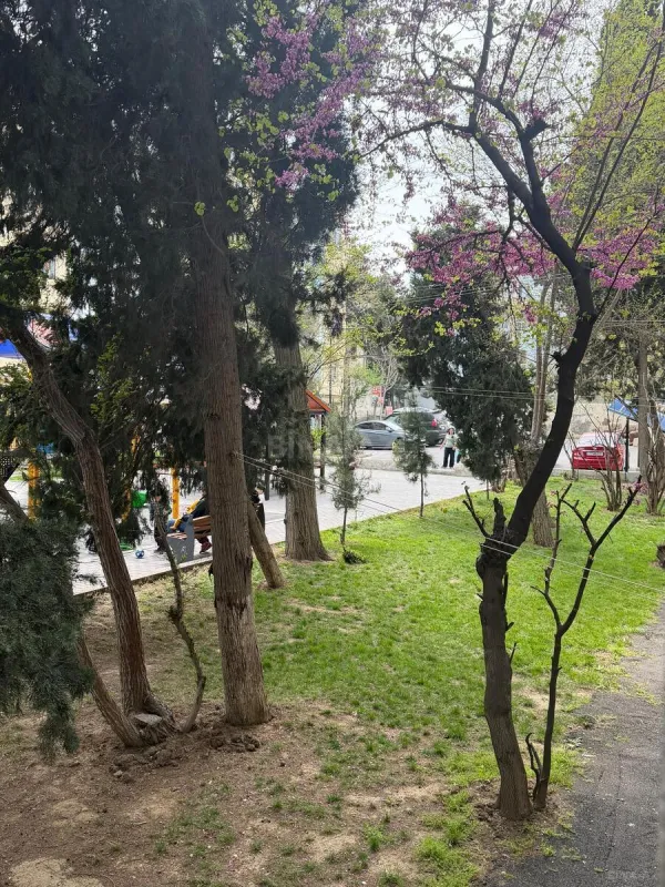 Satılır 2 otaqlı mənzil 55 m²