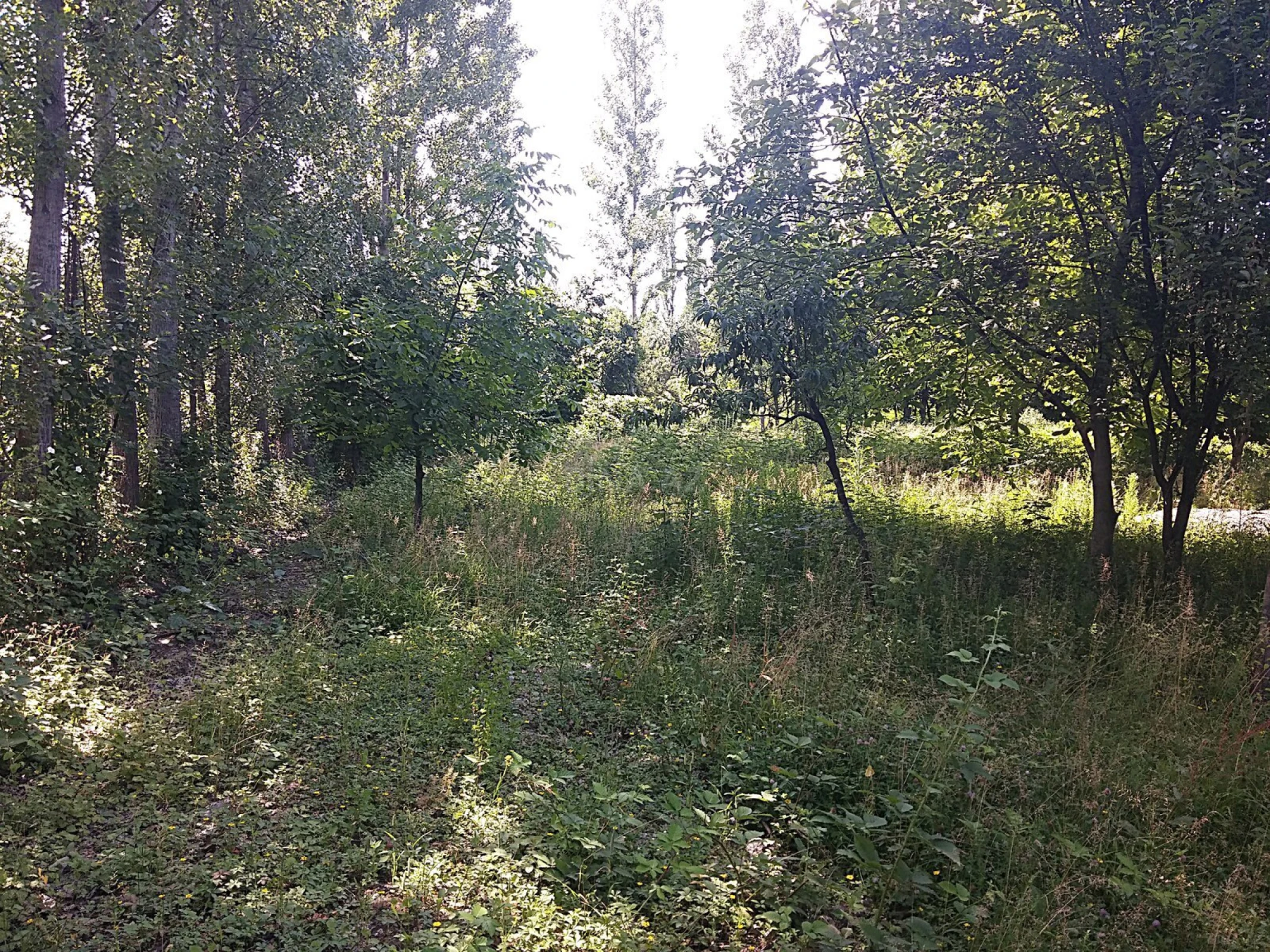 Satılır torpaq sahəsi 20 m²