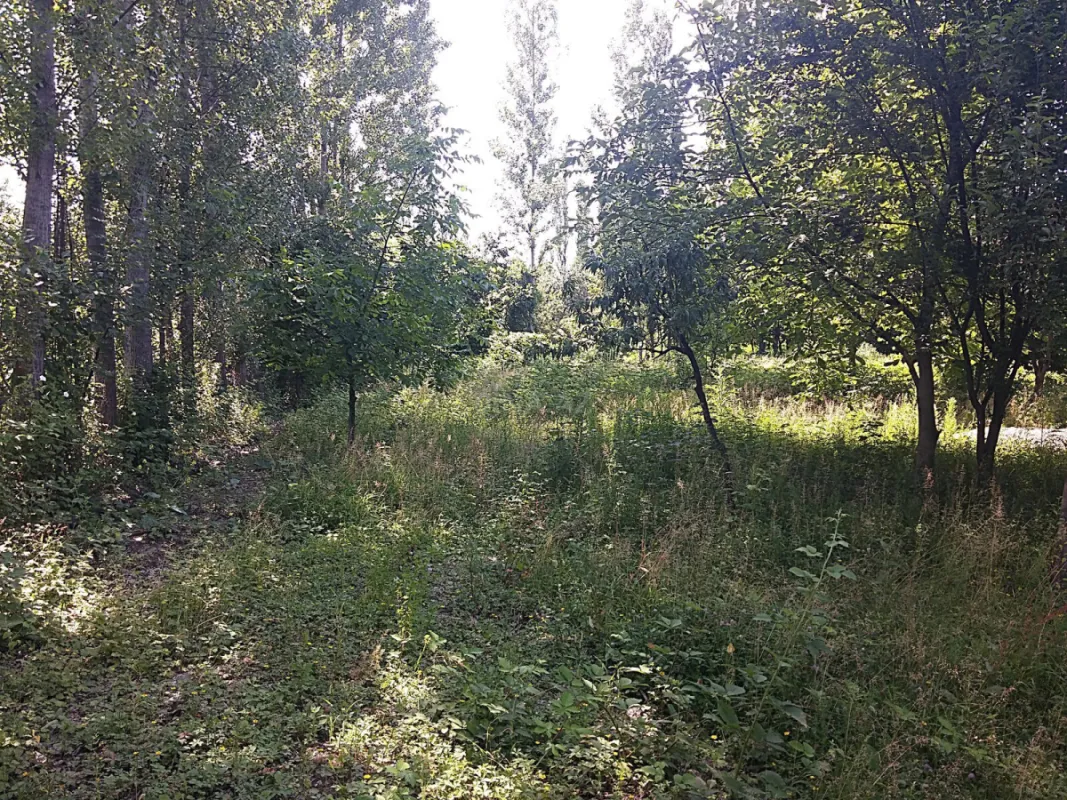 Satılır torpaq sahəsi 20 m²