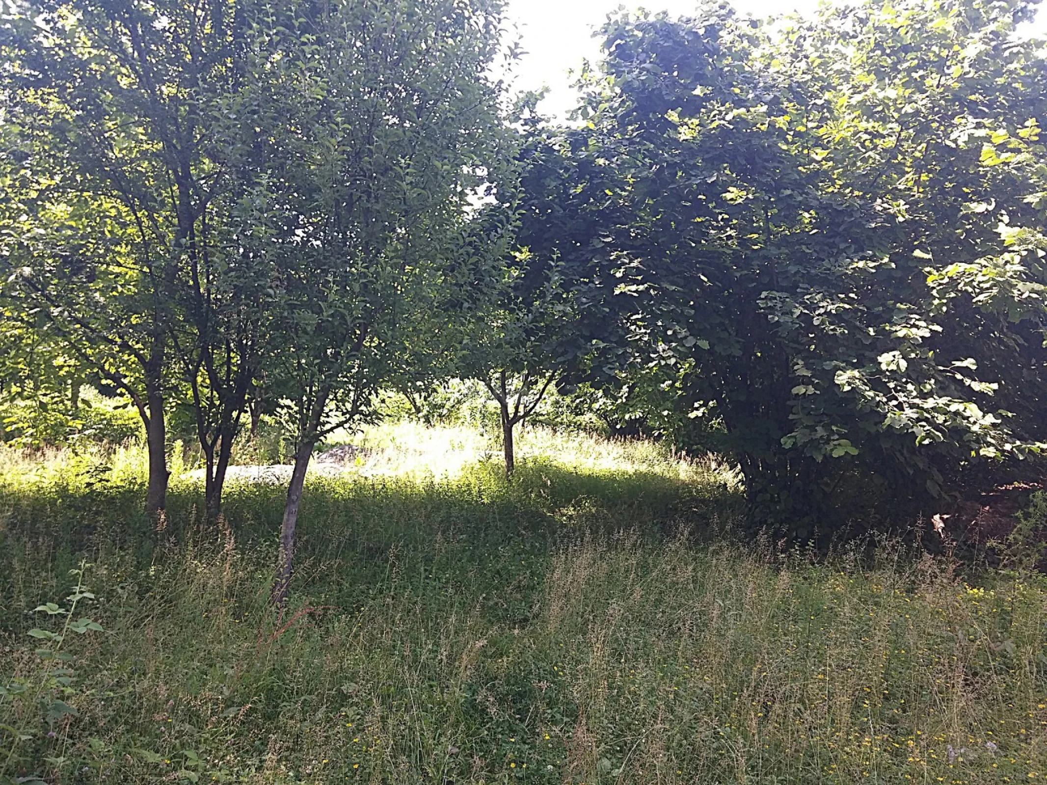 Satılır torpaq sahəsi 20 m²