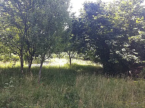 Satılır torpaq sahəsi 20 m²