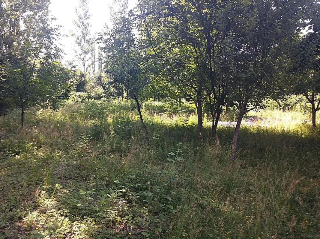 Satılır torpaq sahəsi 20 m²