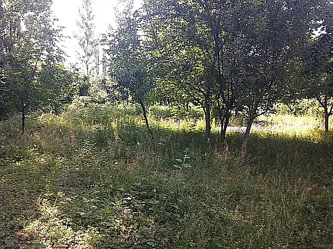 Satılır torpaq sahəsi 20 m²