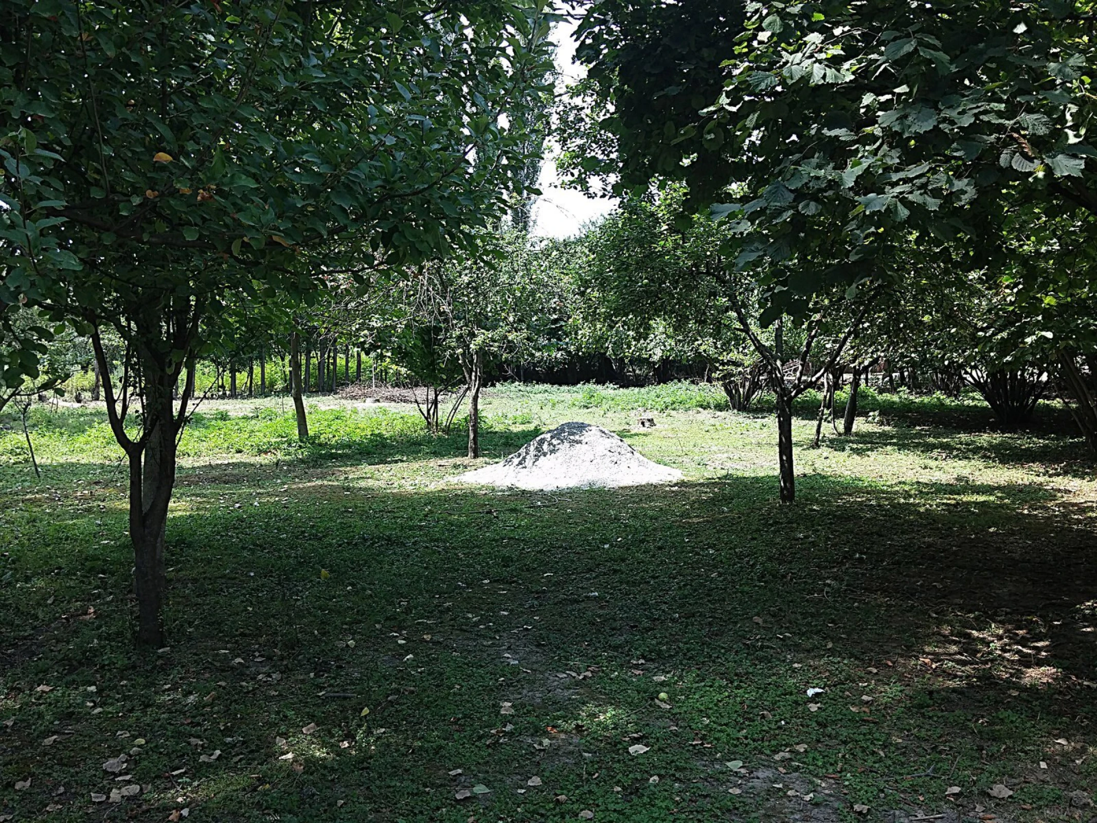 Satılır torpaq sahəsi 20 m²