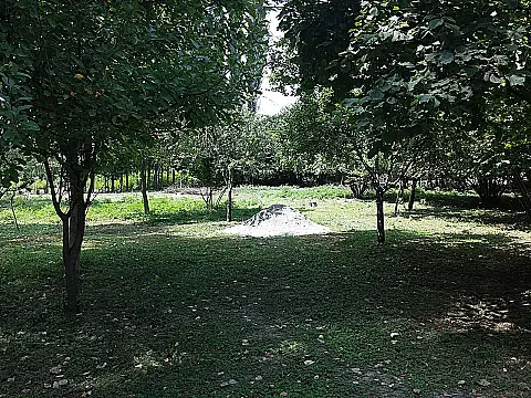 Satılır torpaq sahəsi 20 m² — İsmayıllı 20.00 m²