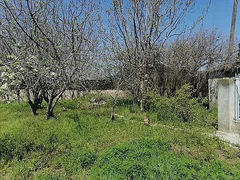 Satılır 5 otaqlı həyət evi 140 m²