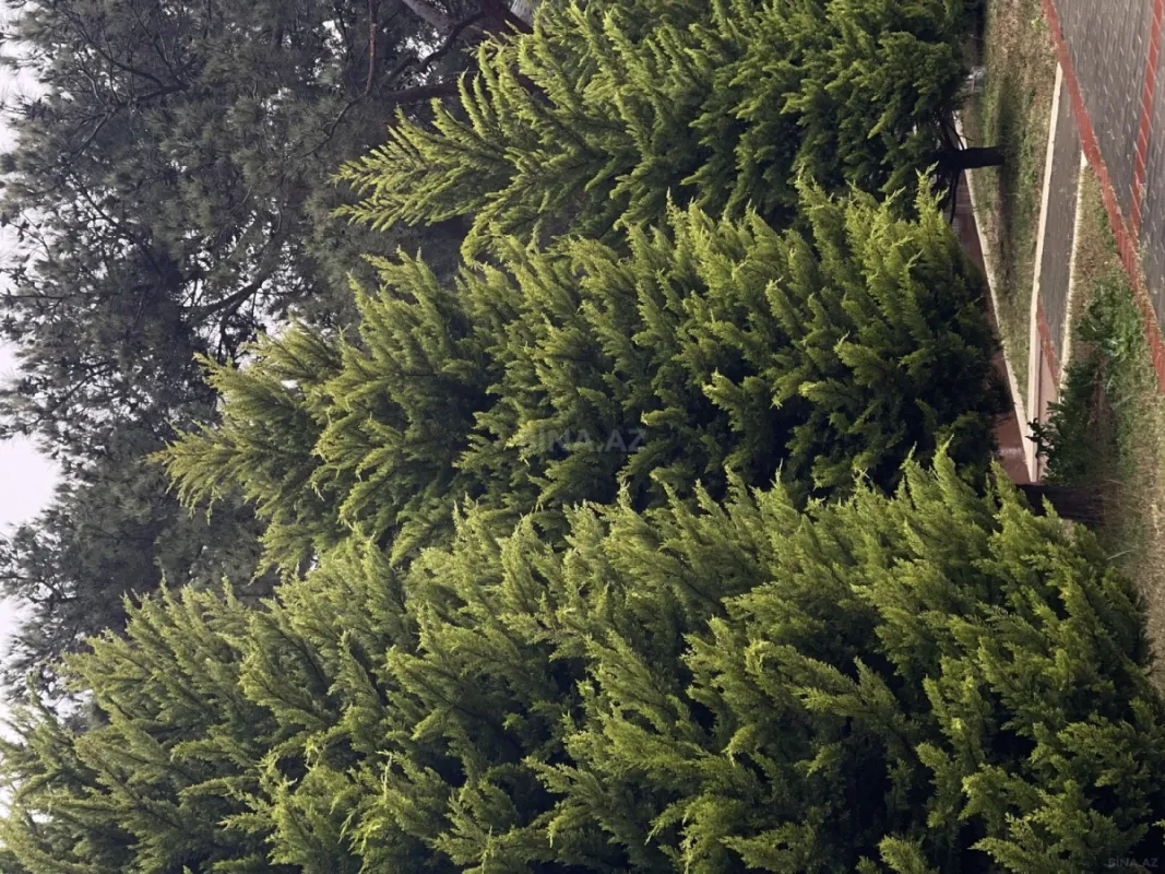 Satılır 15 otaqlı həyət evi 600 m²