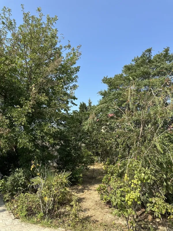 Satılır 5 otaqlı həyət evi 170 m²