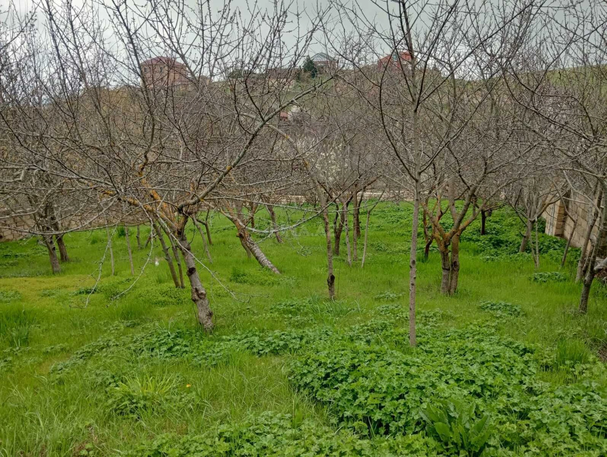 Satılır 3 otaqlı həyət evi 113 m²