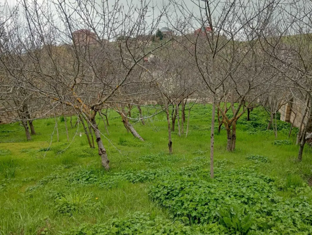 Satılır 3 otaqlı həyət evi 113 m²