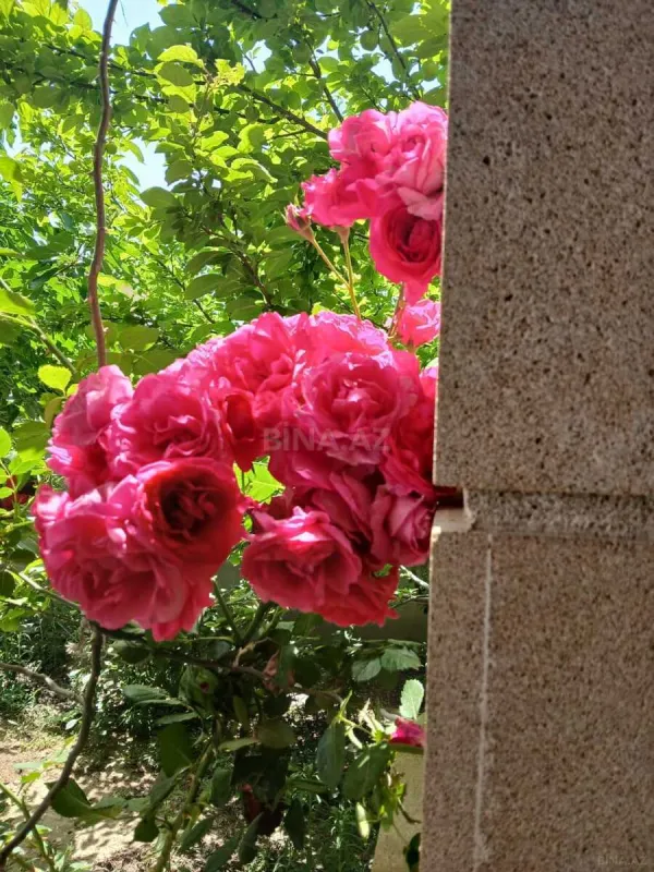 Satılır 6 otaqlı həyət evi 400 m²