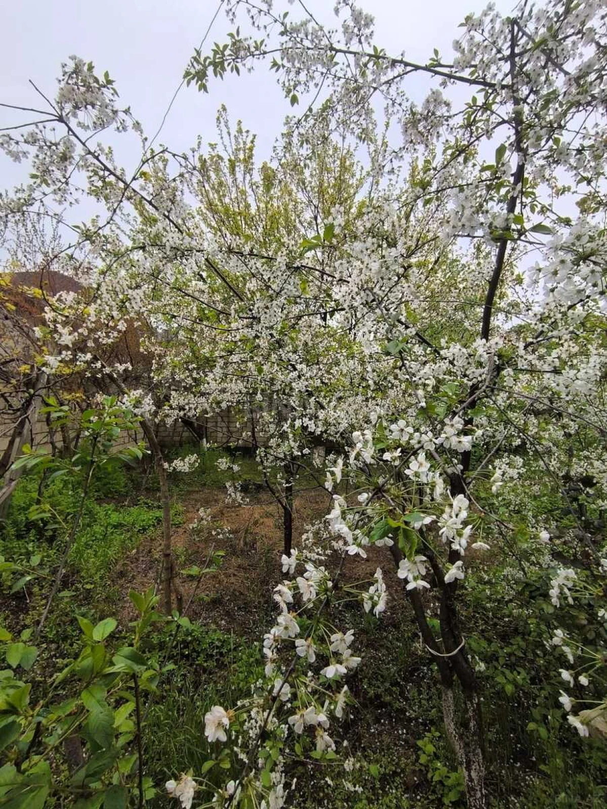 Satılır 4 otaqlı həyət evi 150 m²