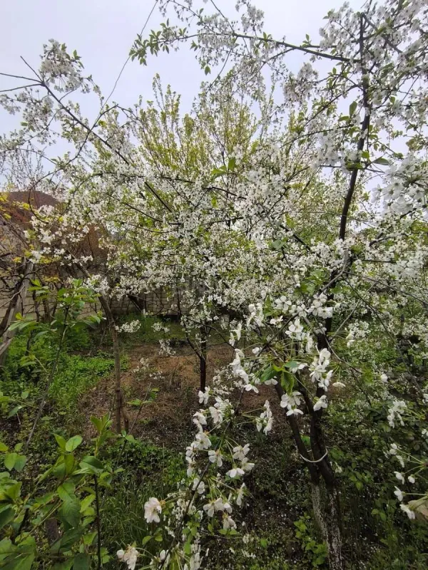 Satılır 4 otaqlı həyət evi 150 m²