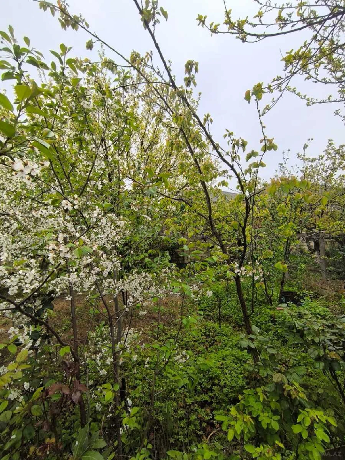 Satılır 4 otaqlı həyət evi 150 m²