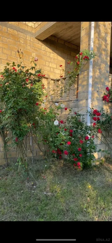 Satılır 5 otaqlı həyət evi 246 m²
