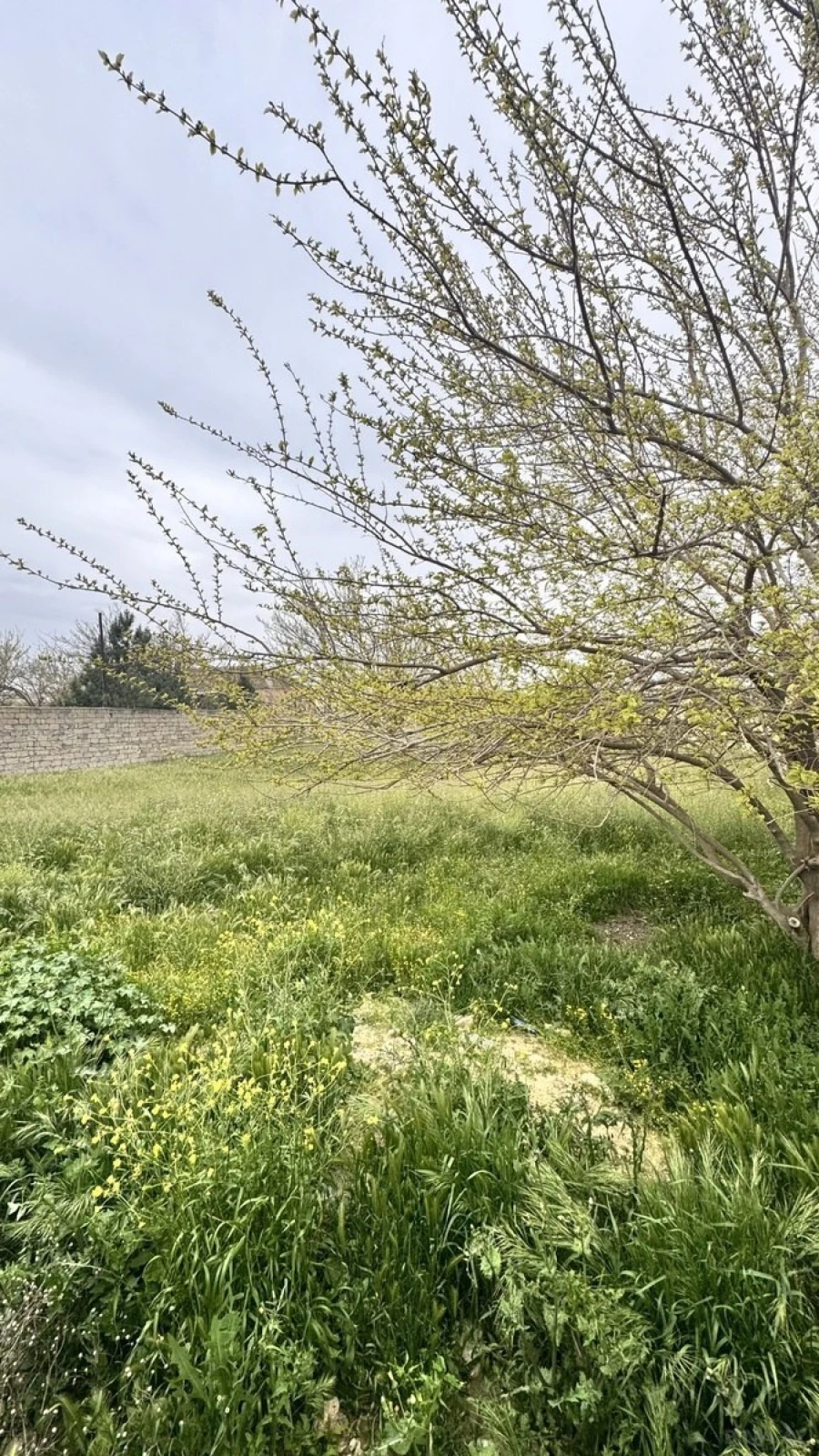 Satılır torpaq sahəsi 12 m²