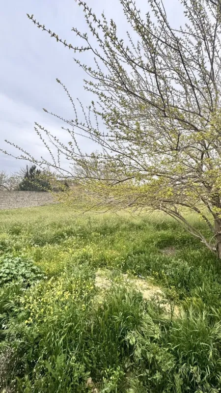 Satılır torpaq sahəsi 12 m²