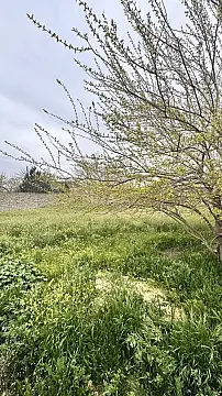 Satılır torpaq sahəsi 12 m²