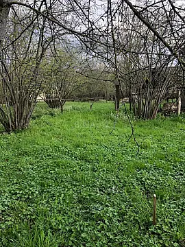 Satılır torpaq sahəsi 9 m² — Qəbələ 9.00 m²