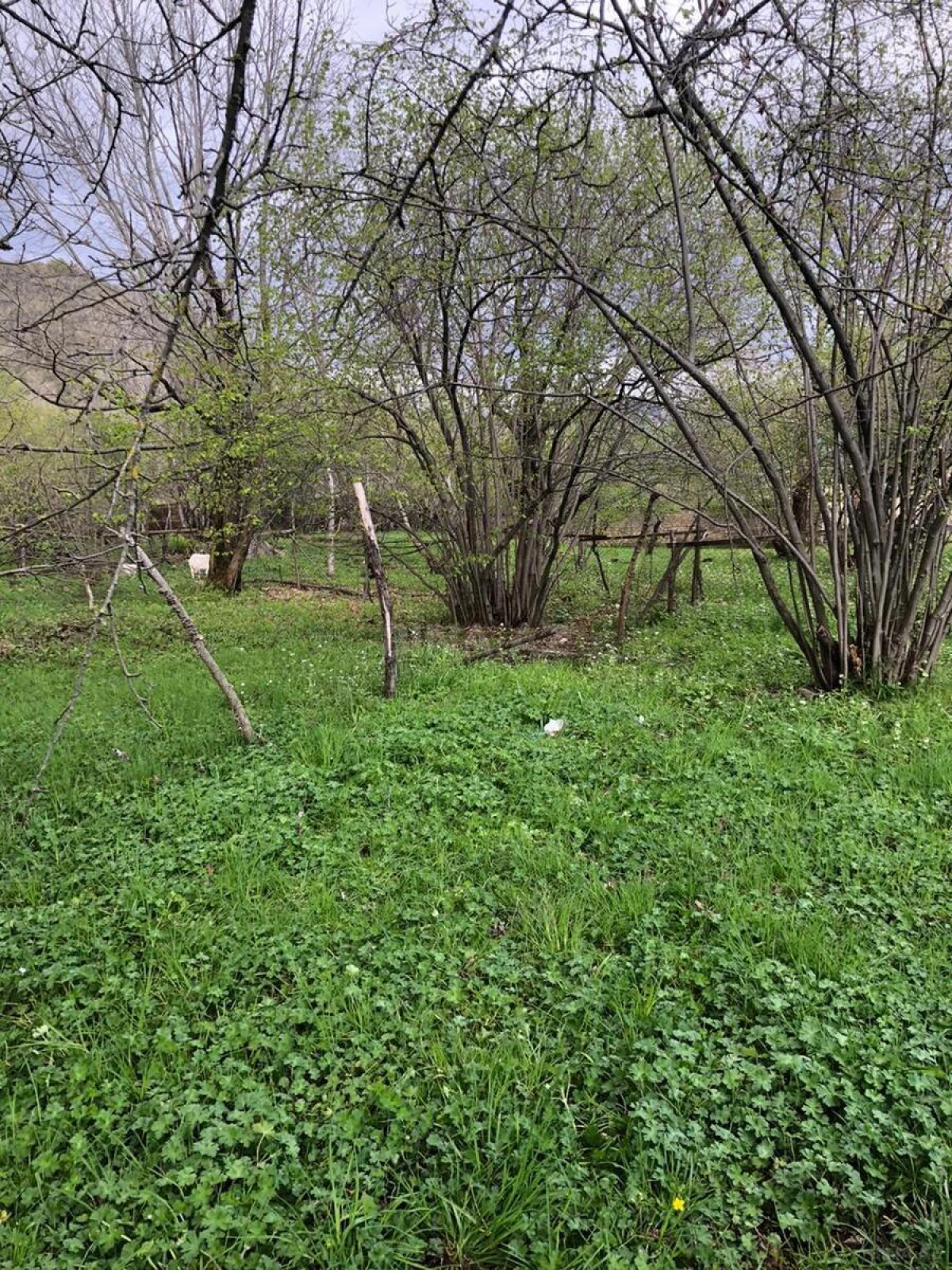 Satılır torpaq sahəsi 9 m²