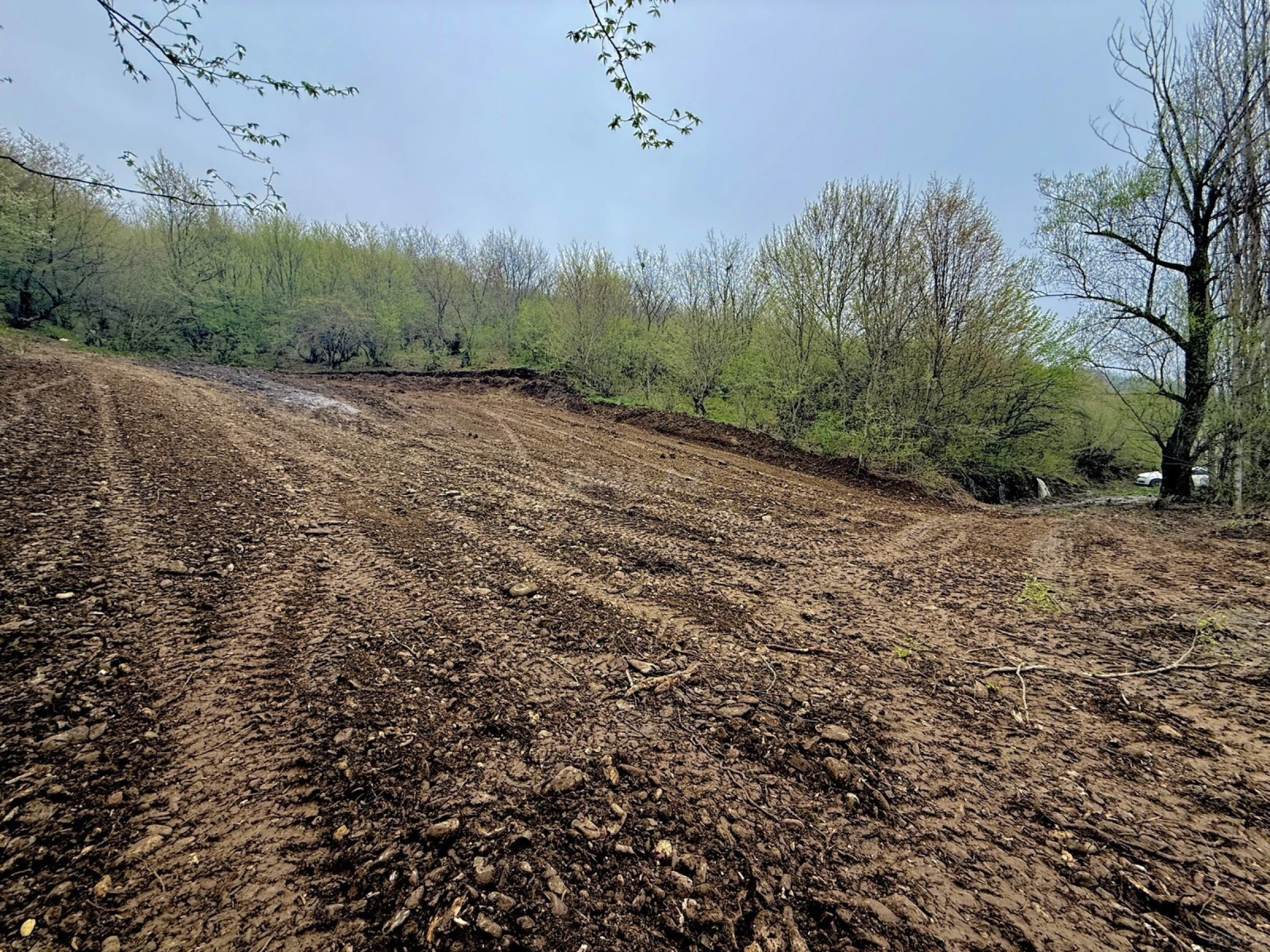 Satılır torpaq sahəsi 8 m²