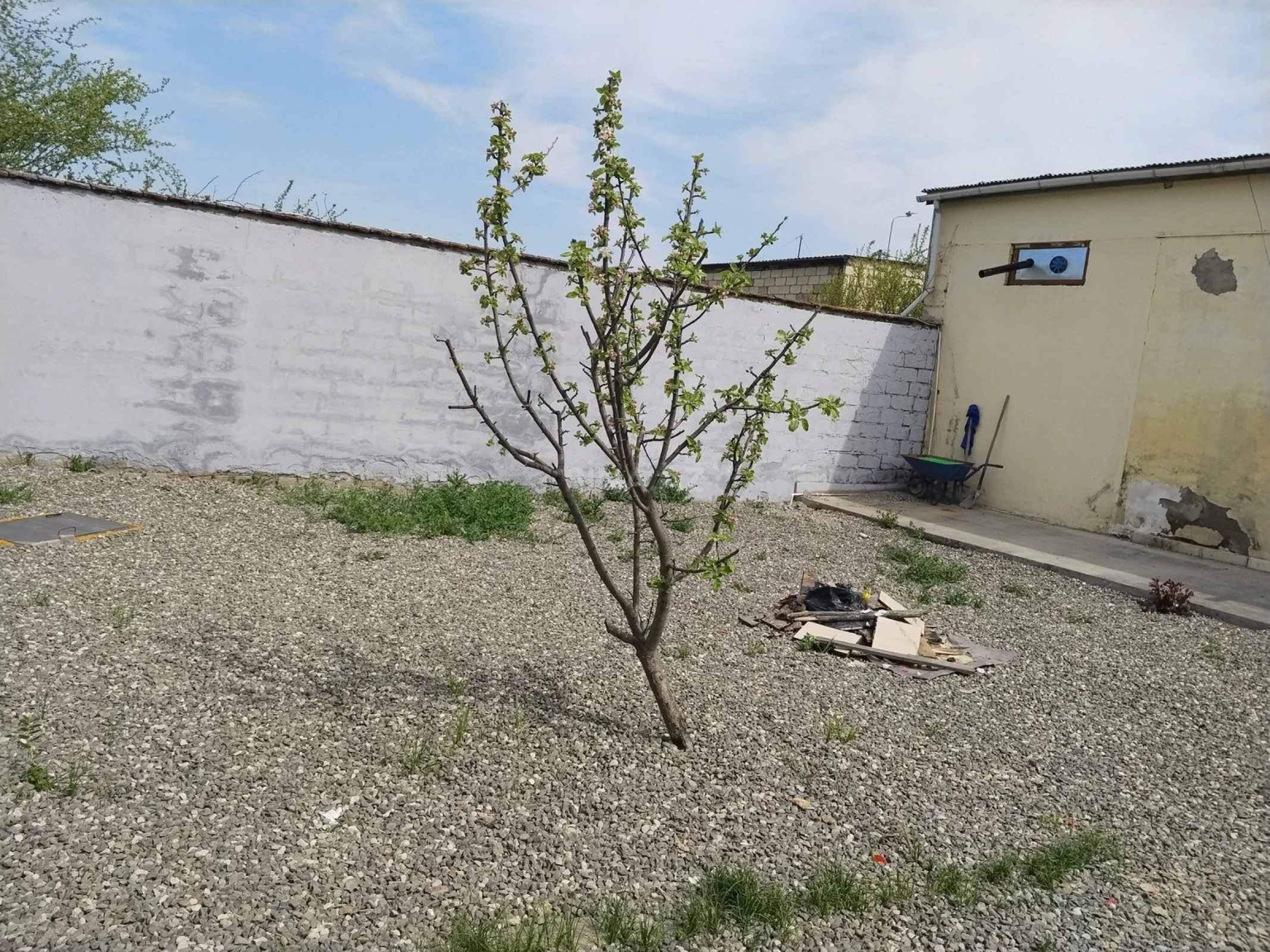 Kirayə verilir obyekt 220 m²