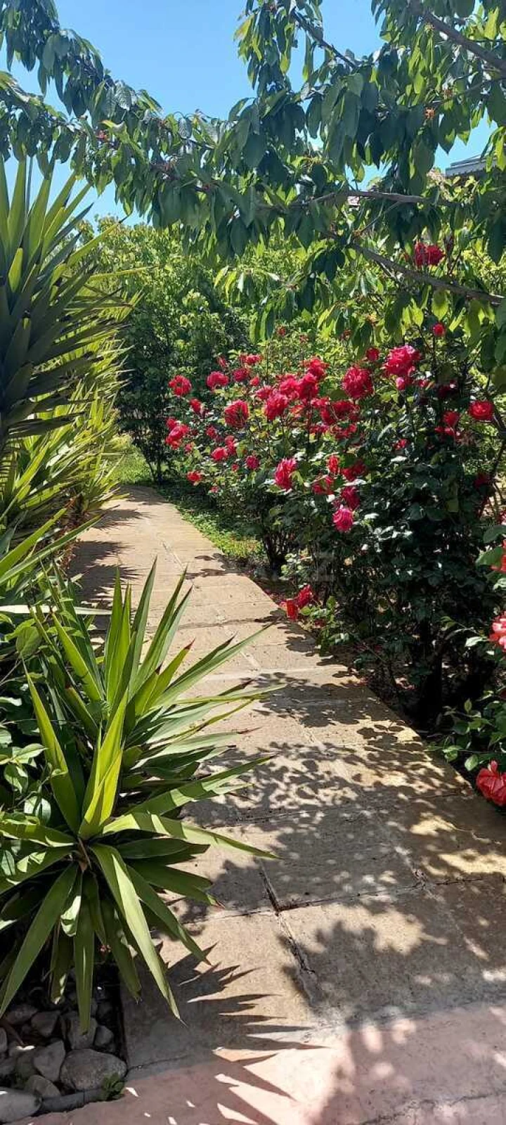 Kirayə verilir 5 otaqlı həyət evi 200 m²