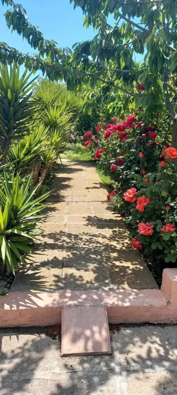 Kirayə verilir 5 otaqlı həyət evi 200 m²