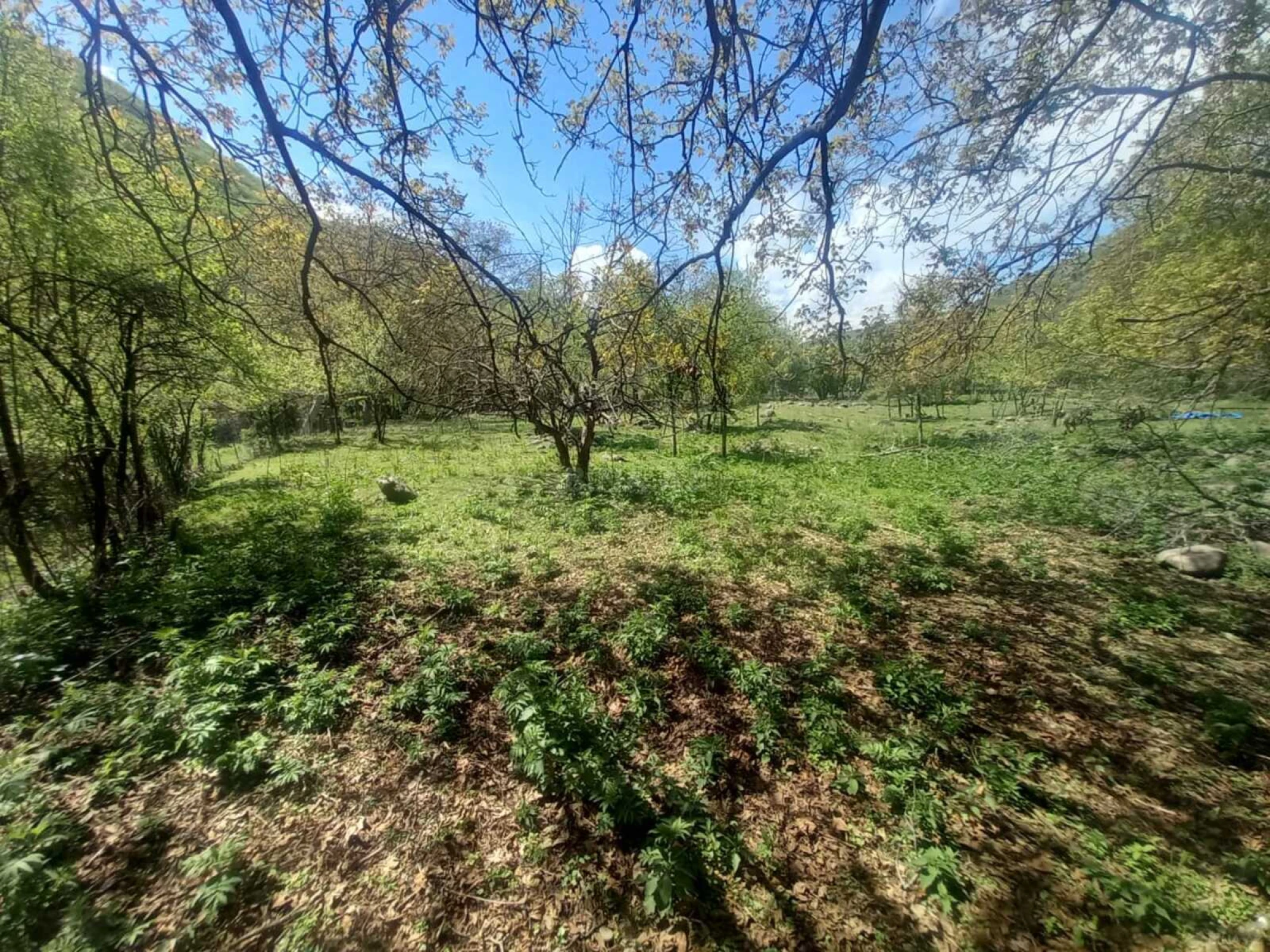 Satılır torpaq sahəsi 20 m²