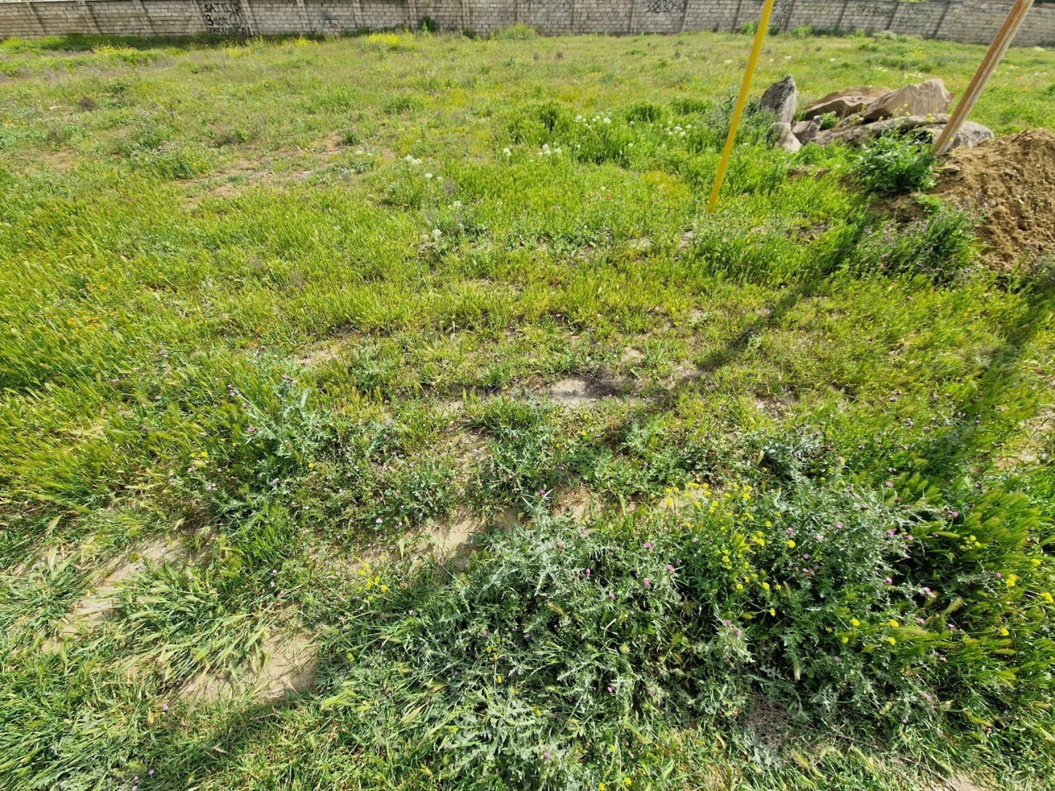 Satılır torpaq sahəsi 12 m²