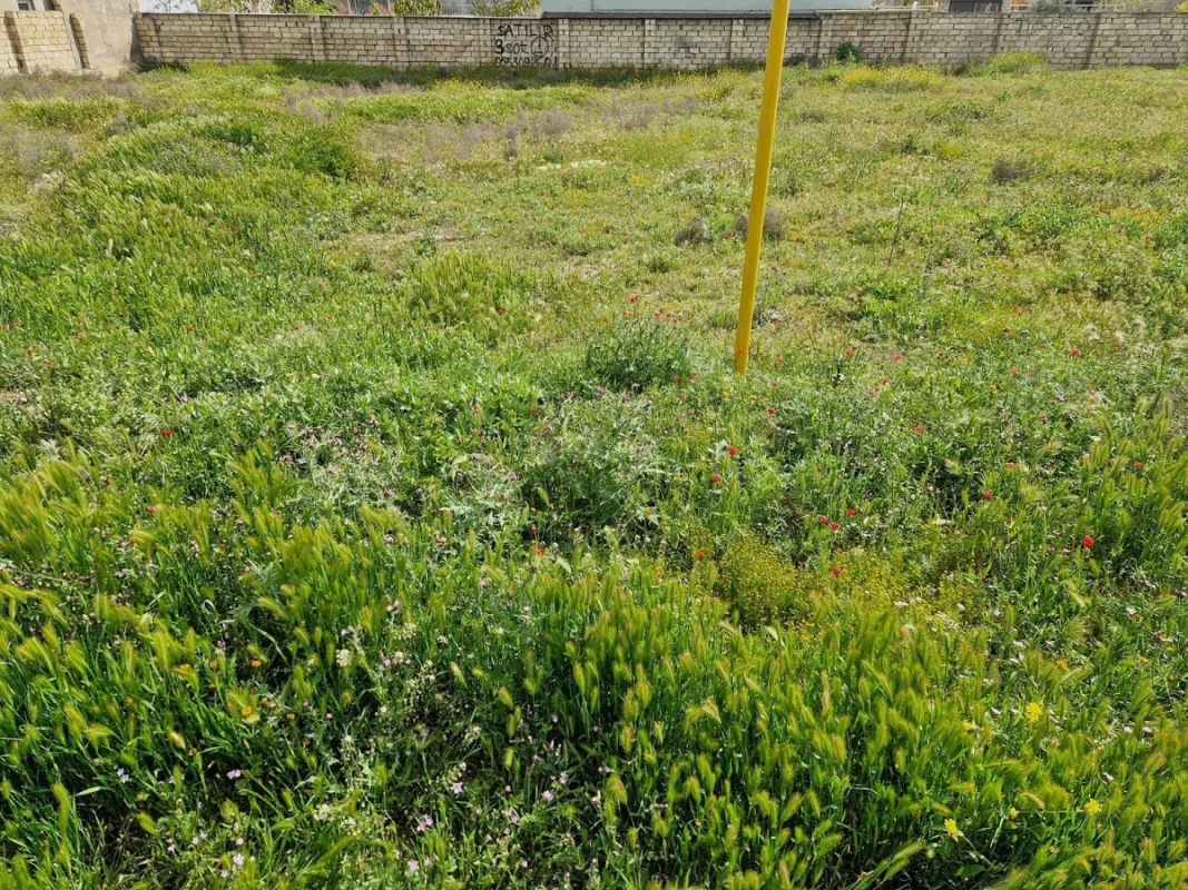 Satılır torpaq sahəsi 12 m²