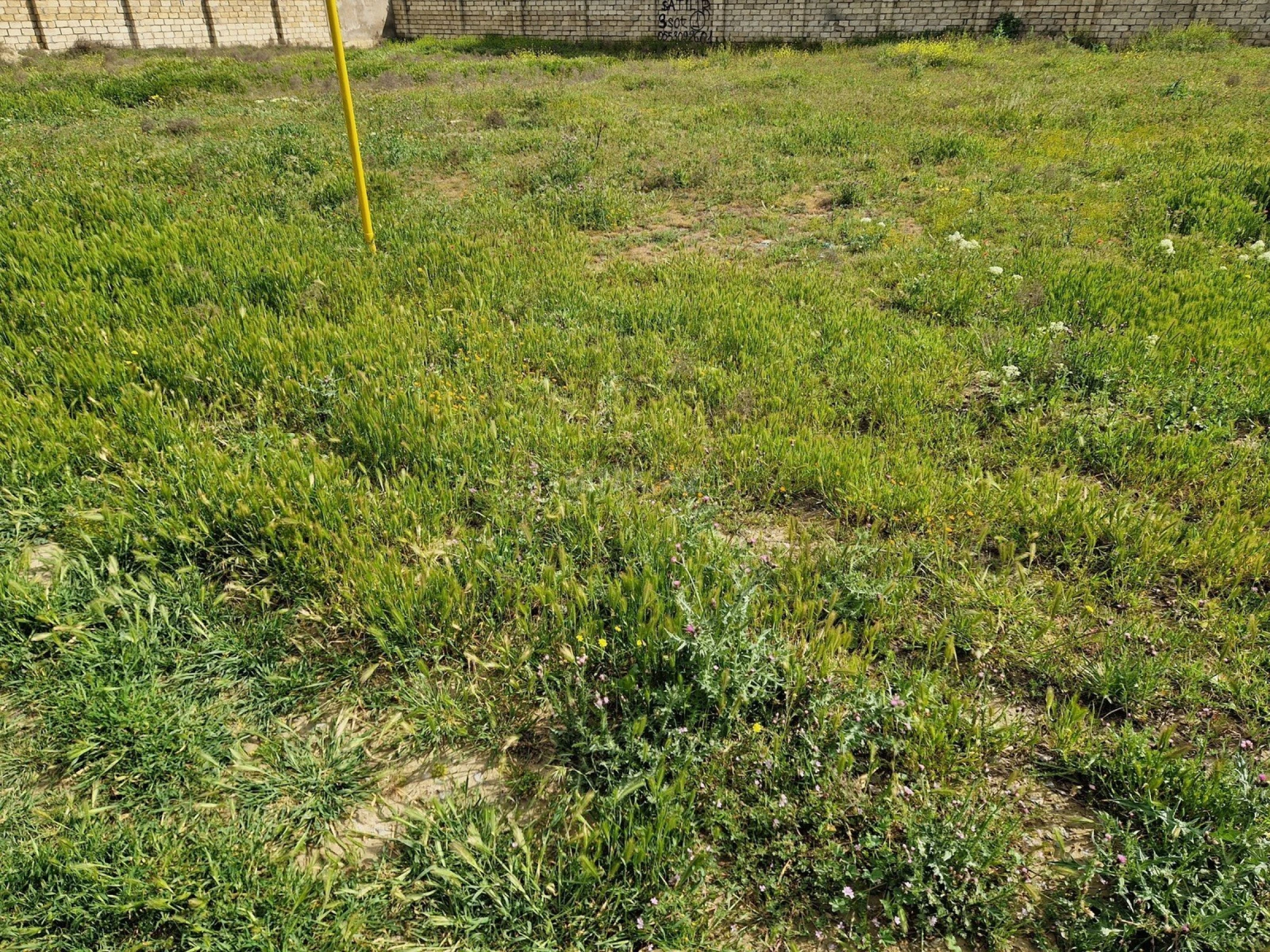 Satılır torpaq sahəsi 12 m²