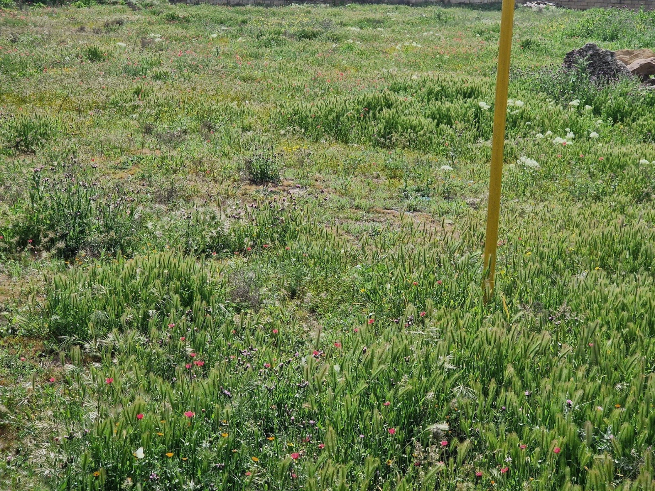 Satılır torpaq sahəsi 12 m²