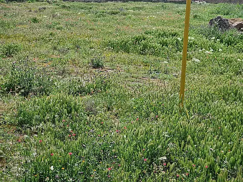 Satılır torpaq sahəsi 12 m² — Bakı, Masazır 12.00 m²