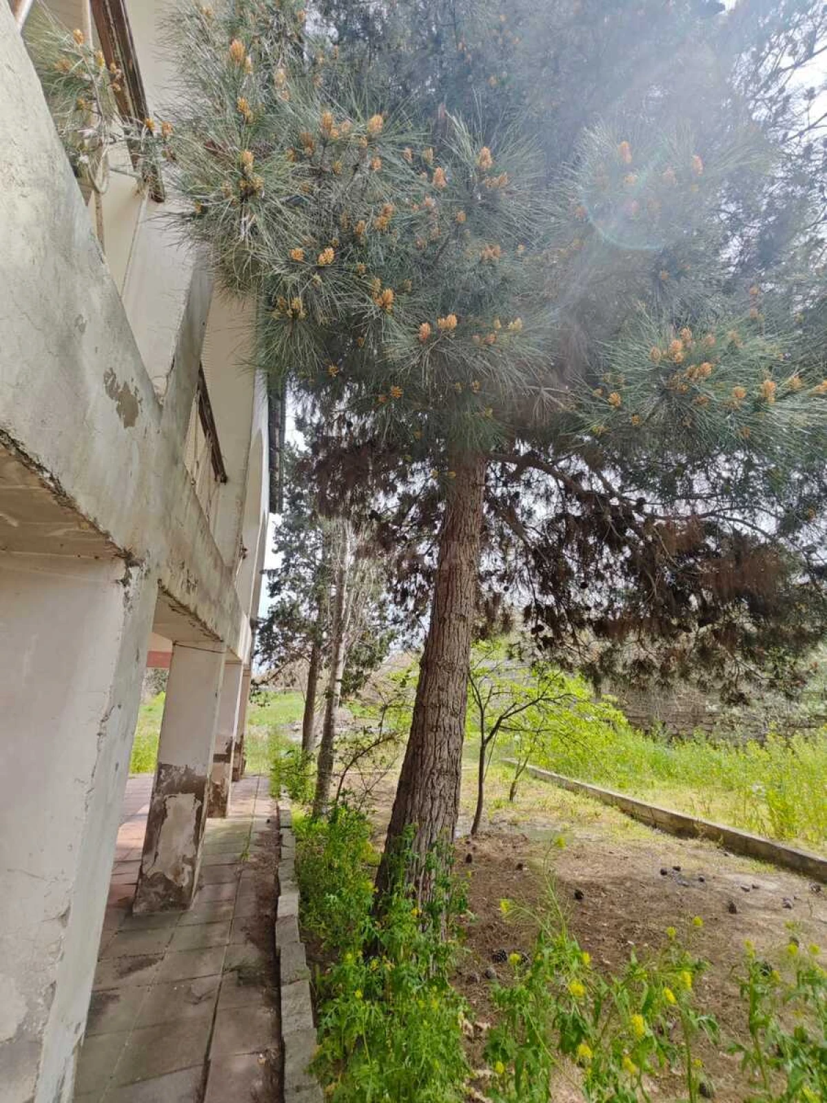 Satılır torpaq sahəsi 25 m²