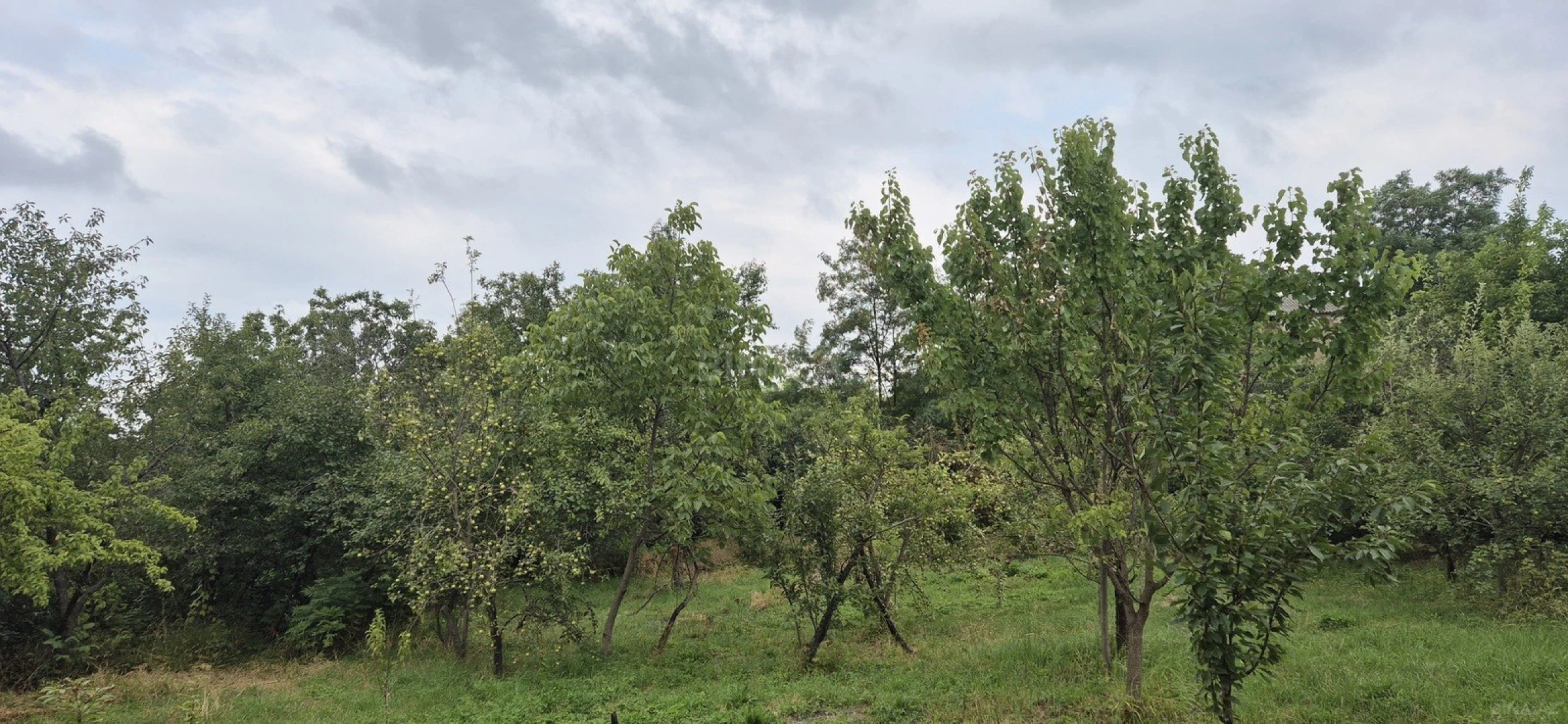 Satılır 6 otaqlı həyət evi 220 m²