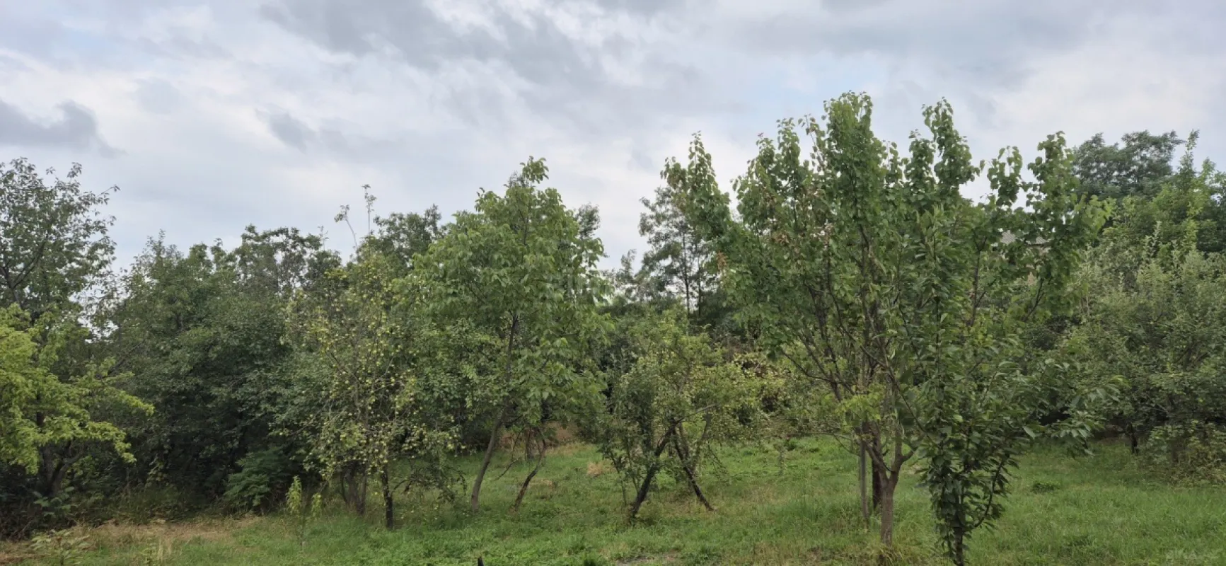 Satılır 6 otaqlı həyət evi 220 m²