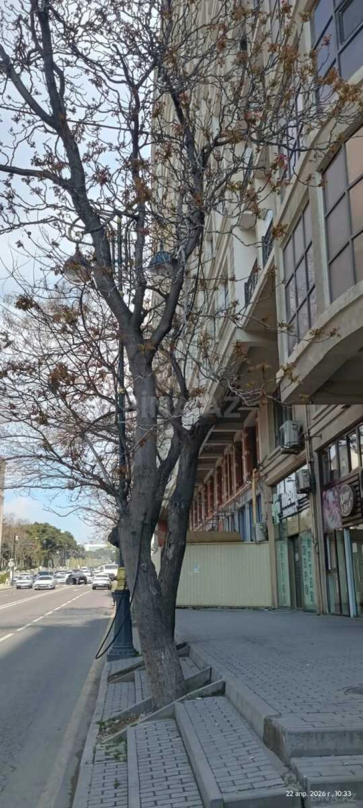 Satılır 2 otaqlı mənzil 105 m²