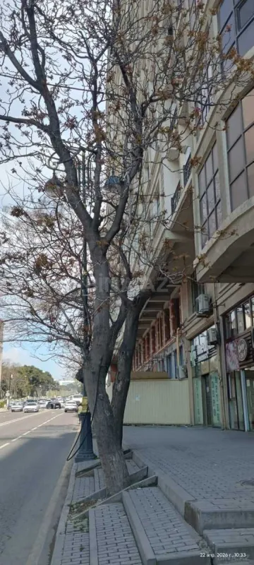 Satılır 2 otaqlı mənzil 105 m²