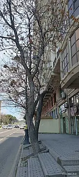 Satılır 2 otaqlı mənzil 105 m²