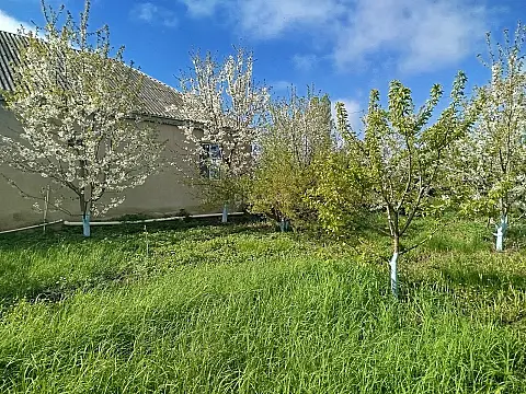 Satılır torpaq sahəsi 8 m²