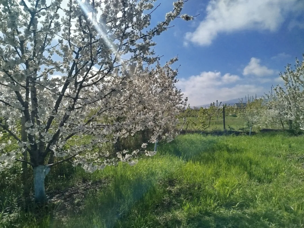 Satılır torpaq sahəsi 8 m²