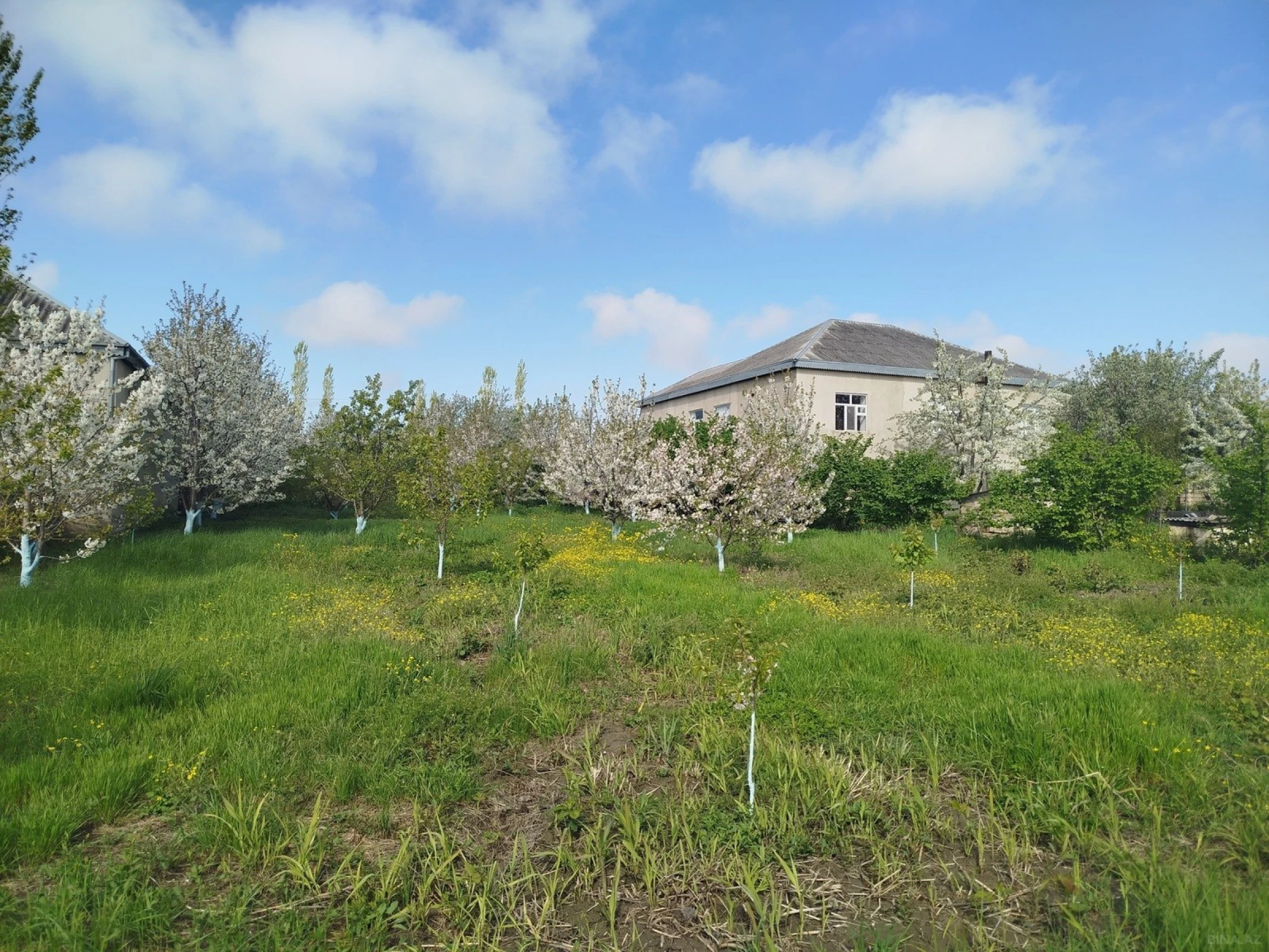 Satılır torpaq sahəsi 8 m²