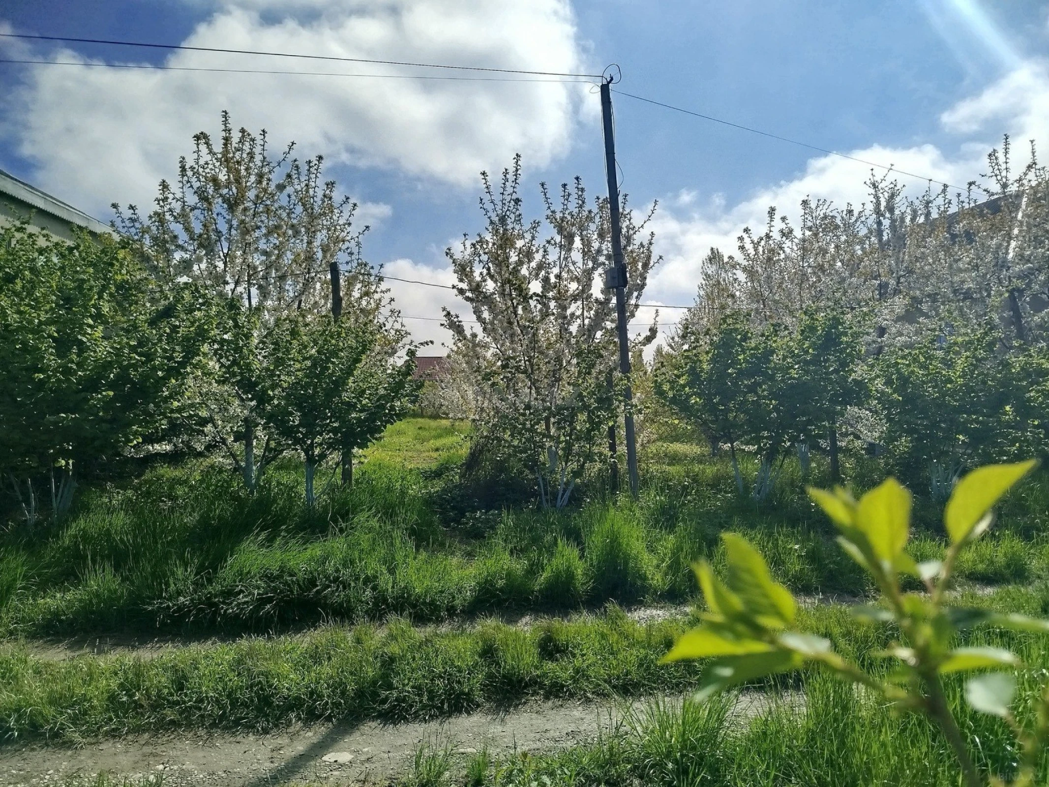 Satılır torpaq sahəsi 8 m²