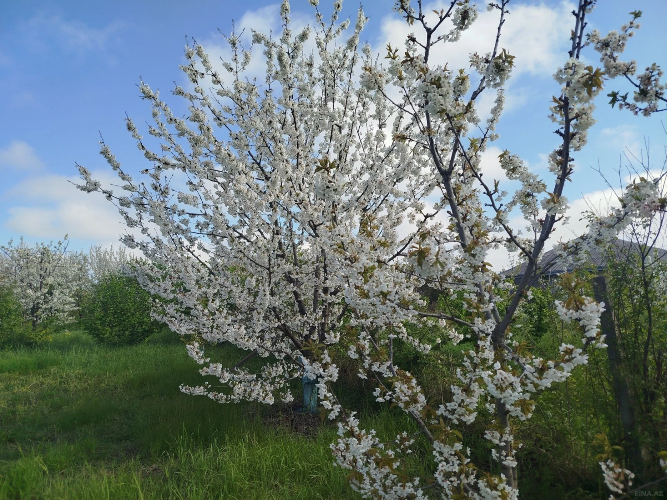 Satılır torpaq sahəsi 8 m²