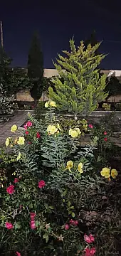 Satılır 5 otaqlı həyət evi 200 m²