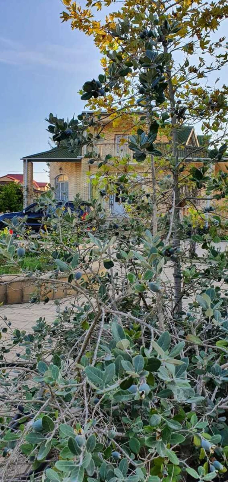 Satılır 5 otaqlı həyət evi 200 m²