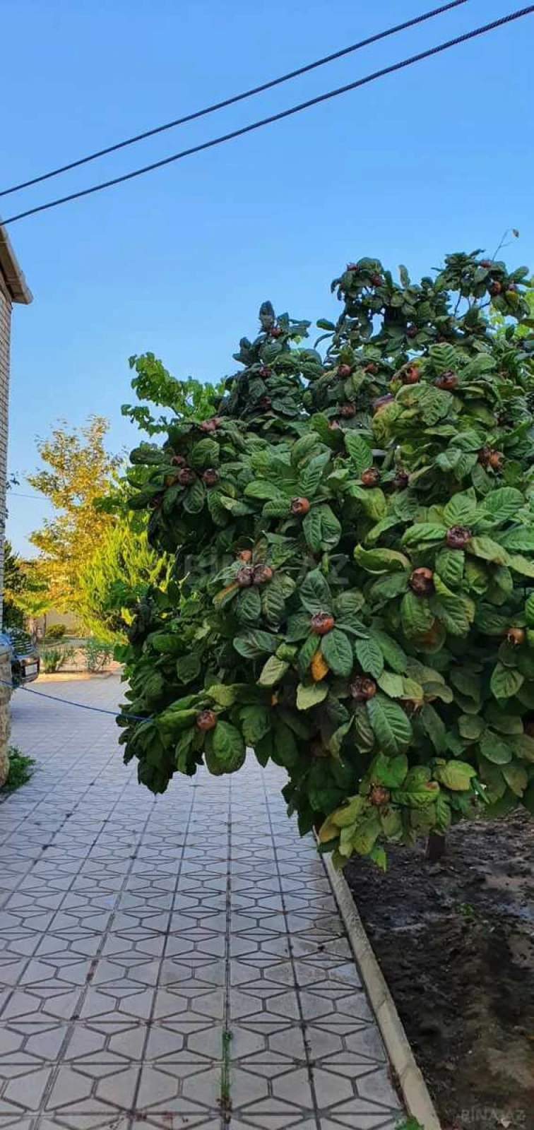 Satılır 5 otaqlı həyət evi 200 m²